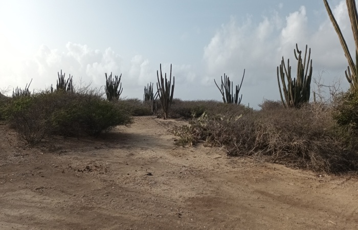 Seroe Colorado, Aruba, ,Land,For Sale,Seroe Colorado, Aruba,1555